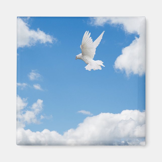 Beautiful white dove flying high magnet (Front)