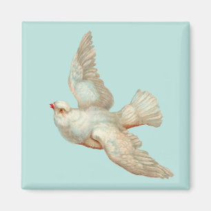 beautiful white dove magnet