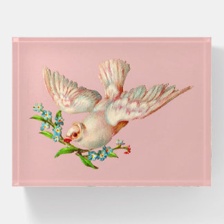 beautiful white dove paperweight