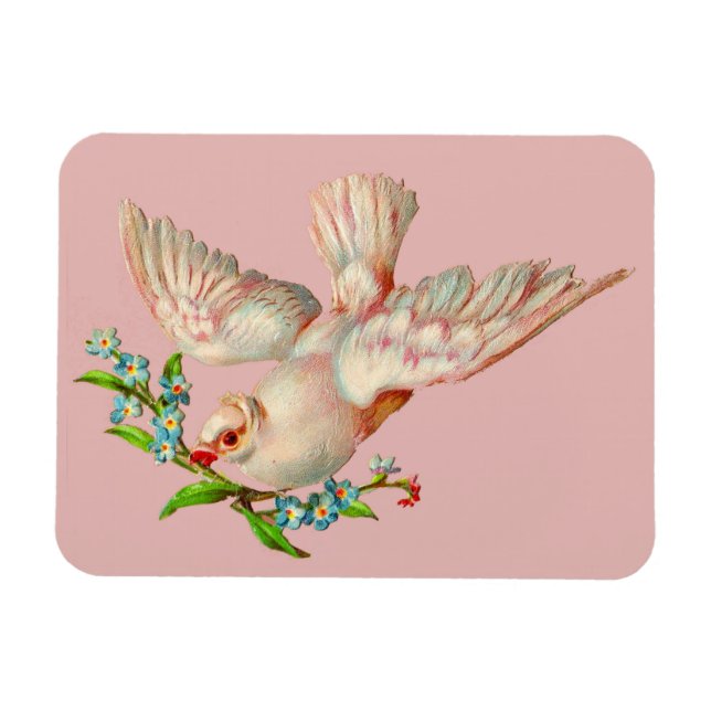  beautiful white dove with sprig in its mouth magnet (Horizontal)