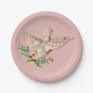 beautiful white dove with sprig in its mouth paper plates