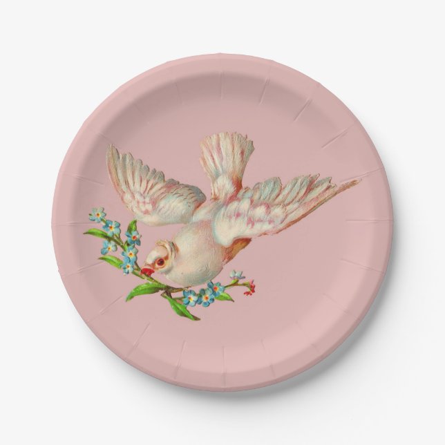  beautiful white dove with sprig in its mouth paper plates (Front)
