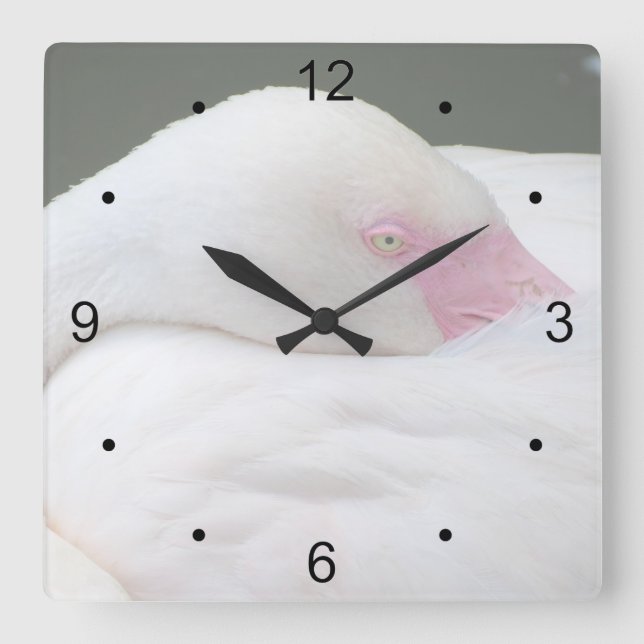 Beautiful White Flamingo Square Wall Clock (Front)