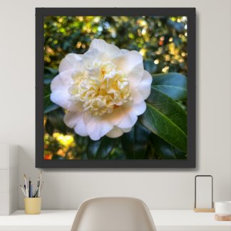 Beautiful white flower closeup framed art
