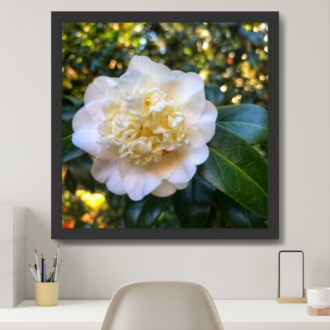 Beautiful white flower closeup framed art (Home Office)