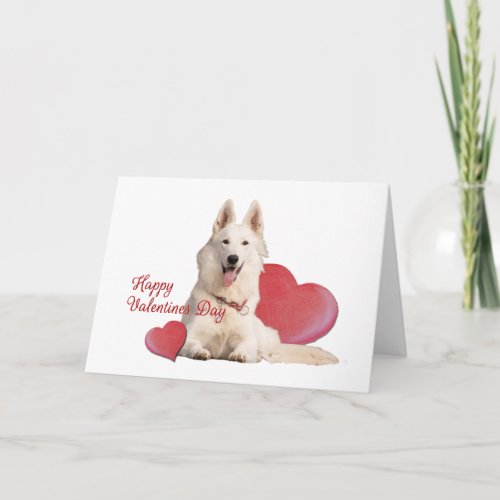 Beautiful White German Shepherd Valentines Day  Card