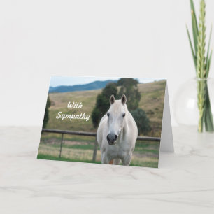 Beautiful White Horse Appaloosa Photo Sympathy Card
