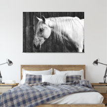 Beautiful White Horse Black and White