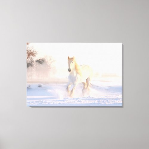 Beautiful White Horse Canvas Print