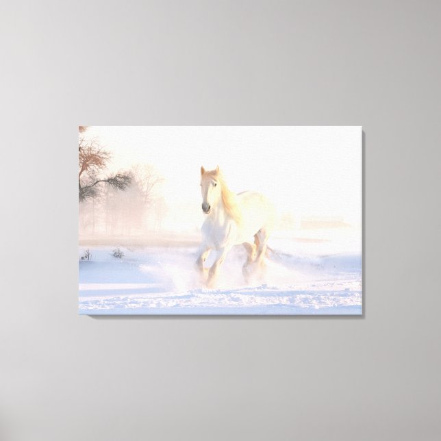 Beautiful White Horse Canvas Print (Front)
