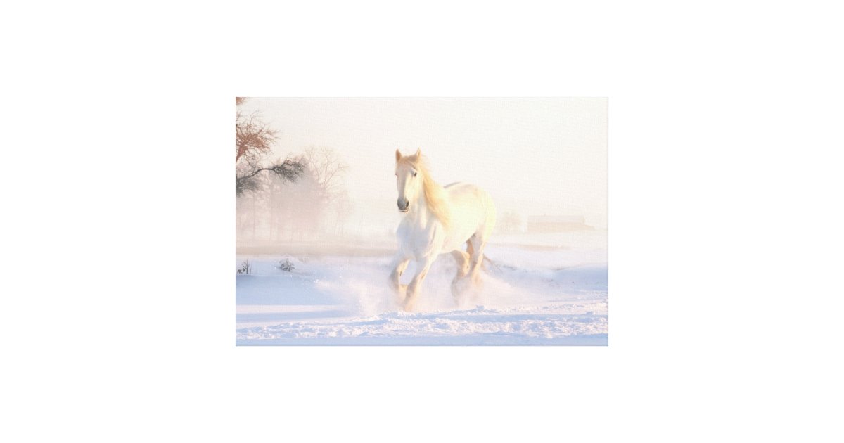 Beautiful White Horse Canvas Print Zazzle