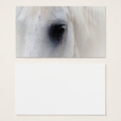 Beautiful White Horse Closeup (Front & Back)