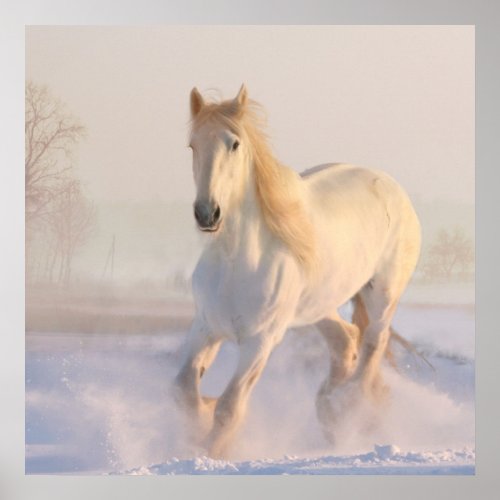 Beautiful White Horse Galloping in the Snow Poster