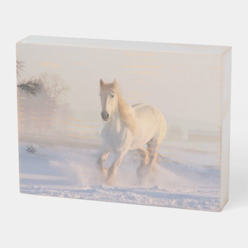Beautiful White Horse Galloping in the Snow Wooden Box Sign