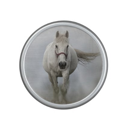 Beautiful white horse in mist speaker