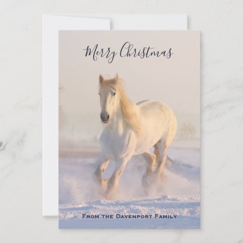 Beautiful White Horse in the Snow Photo Christmas Holiday Card