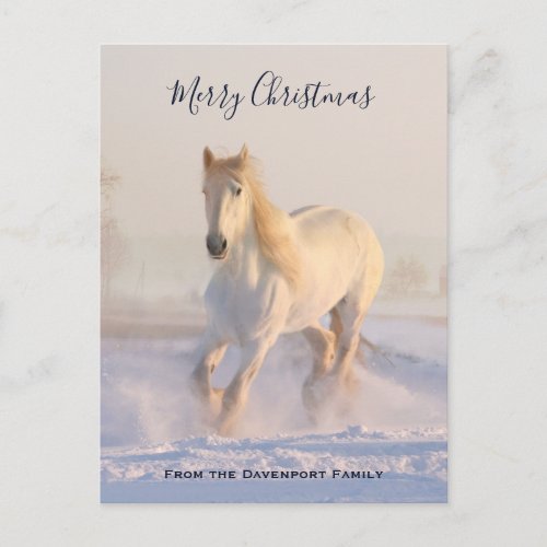 Beautiful White Horse in the Snow Photo Christmas Holiday Postcard