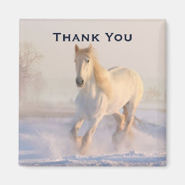 Beautiful White Horse in the Snow Photo Thank You Magnet