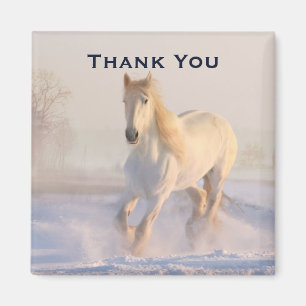 Beautiful White Horse in the Snow Photo Thank You Magnet