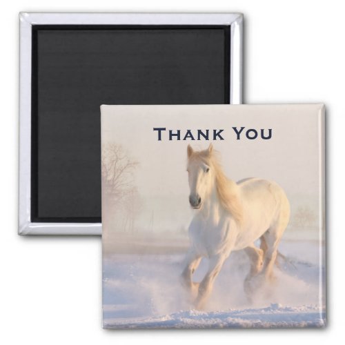 Beautiful White Horse in the Snow Photo Thank You Magnet