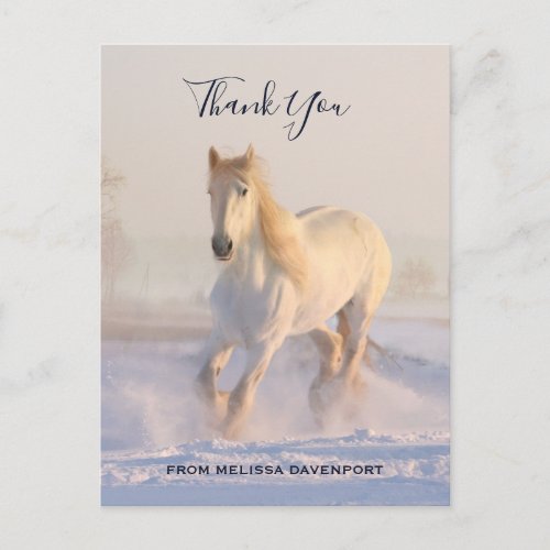 Beautiful White Horse in the Snow Photo Thank You Postcard