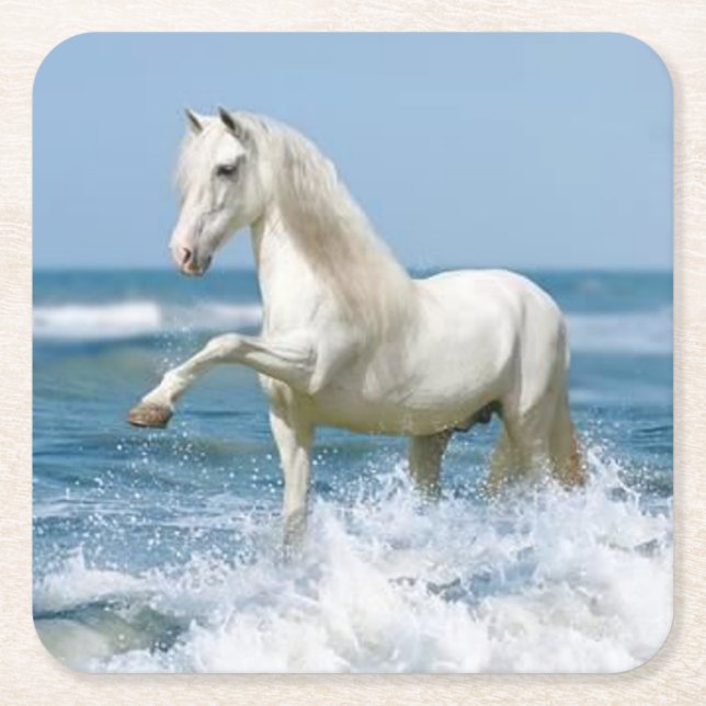 Beautiful White Horse in the Water Square Paper Coaster (Front)
