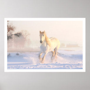 Beautiful White Horse Poster