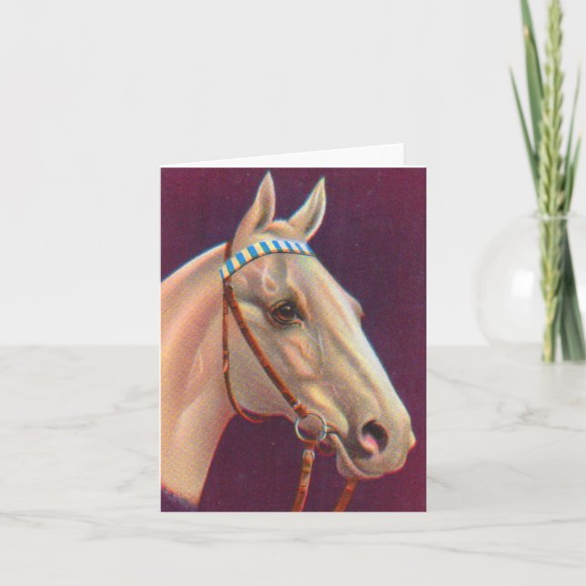 beautiful white horse print note card (Front)