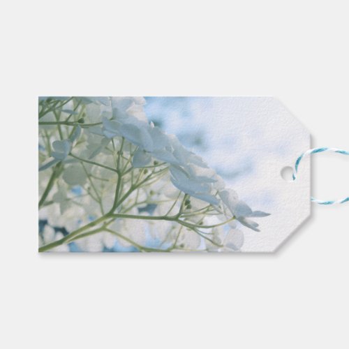 Beautiful White Hydrangea Blooms Highkey Gift Tags