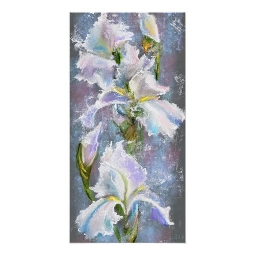Beautiful White Iris Flowers Poster