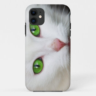 Beautiful white kitty cat kitten animal lover iPhone 11 case