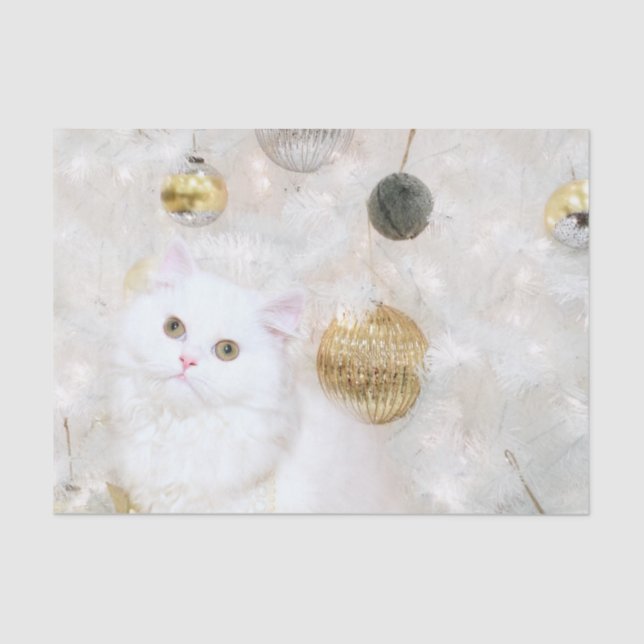 Beautiful white kitty Christmas Tissue Paper (Front)