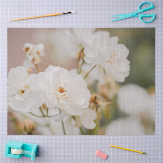 Beautiful White Korbin Roses Close-Up Photograph Tissue Paper (Craft)