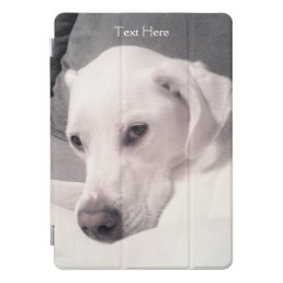 Beautiful White Labrador Mix Puppy Dog Gray iPad Pro Cover