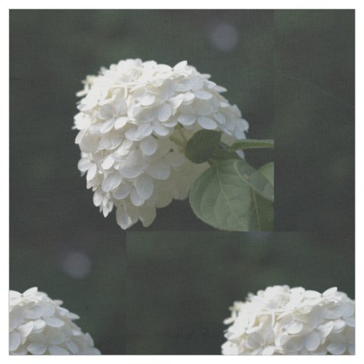 Beautiful White Lime Hydrangea Floral Fabric
