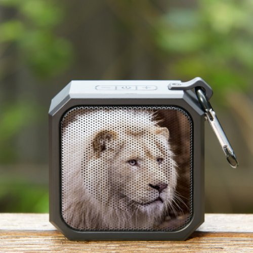 Beautiful White Lion Photo Bluetooth Speaker
