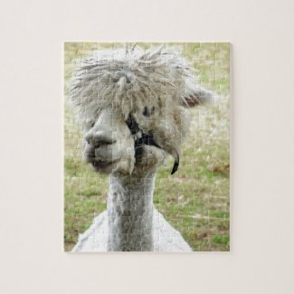 Beautiful White Llama Jigsaw Puzzle