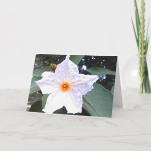 Beautiful White Olive Flower Blank Greeting Card