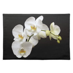 Beautiful White Orchid with Black Background Cloth Placemat
