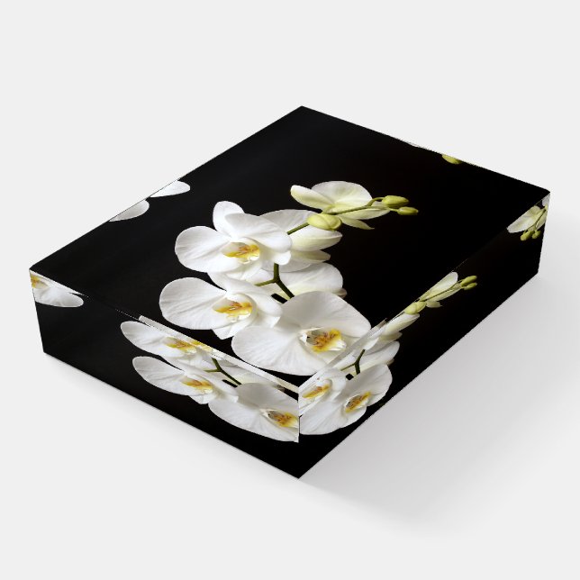 Beautiful White Orchid with Black Background Paperweight (Angled)