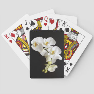 Beautiful White Orchid with Black Background Poker Cards