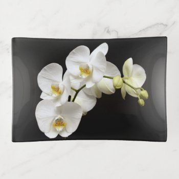 Beautiful White Orchid With Black Background Trinket Tray by ICBIMProducts at Zazzle