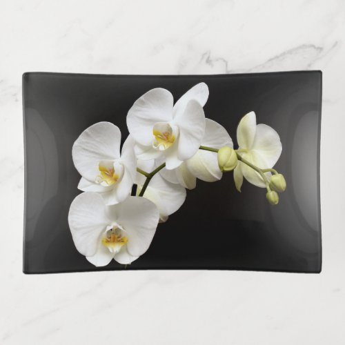 Beautiful White Orchid with Black Background Trinket Tray