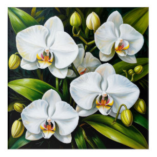 beautiful White Orchids Acrylic Print