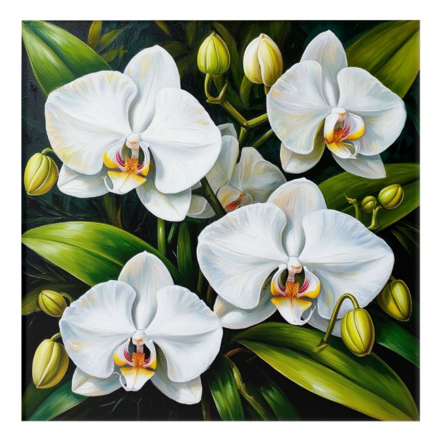beautiful White Orchids Acrylic Print (Front)