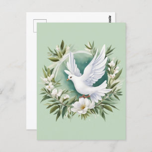 Beautiful White Peace Dove Postcard