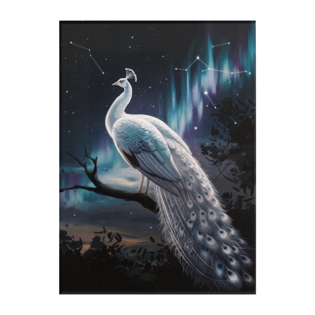 Beautiful White Peacock Aurora Borealis Scenic Acrylic Print (Front)