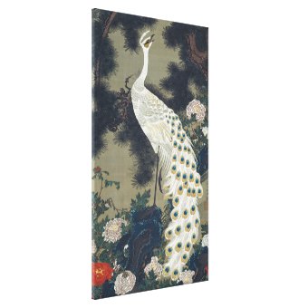 Beautiful White Peacock Japanese Canvas Print | Zazzle