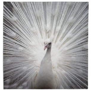 Beautiful white peacock napkin