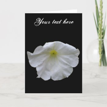 Beautiful White Petunia Customizable Greeting Card by Fallen_Angel_483 at Zazzle